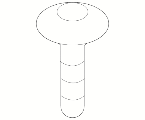 License Bracket Screw