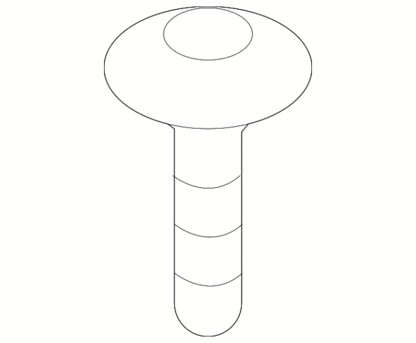 License Bracket Screw