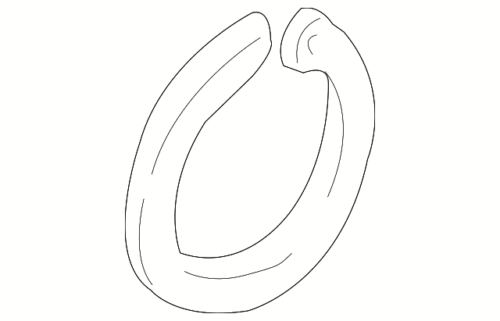 Wheel Bearing Snap Ring