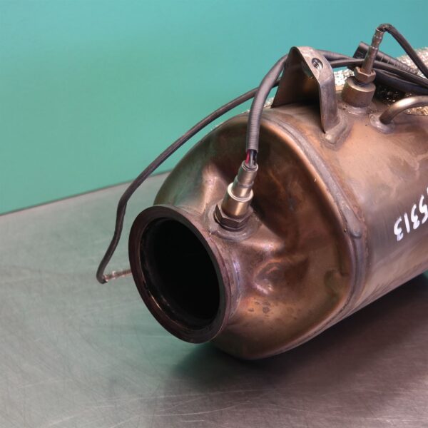 PARTICULATE FILTER/DPF G01 (786) *18-10*
