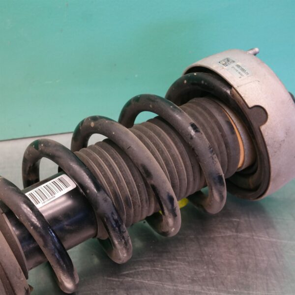 LEFT FRONT STRUT F16 (083) *31-10*