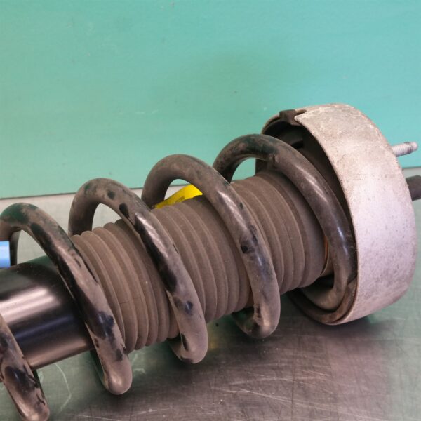 RIGHT FRONT STRUT F16 (747) *31-10*