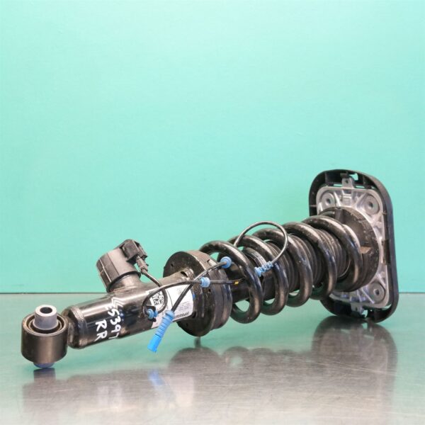 RIGHT REAR STRUT G05 (024) *33-45*