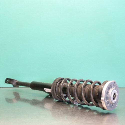LEFT FRONT STRUT G30 (591) *31-10*