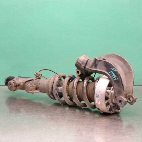 LEFT FRONT STRUT F16 (083) *31-10*