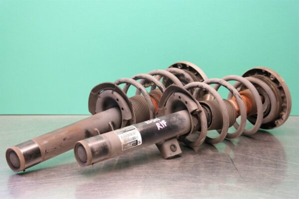 STRUT SET F25 (409) (410) *31-10* Front