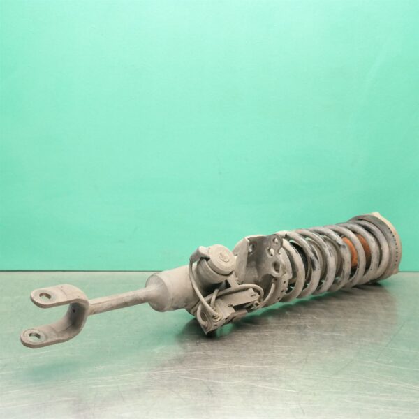 LEFT FRONT STRUT F01 (925) *31-10*