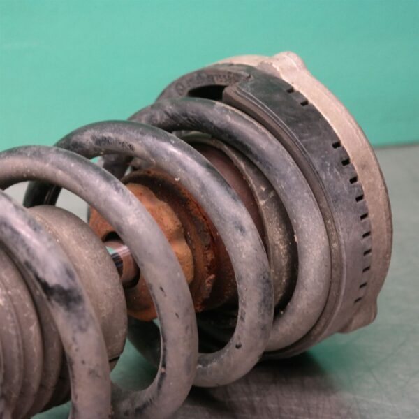 LEFT FRONT STRUT F01 (925) *31-10*