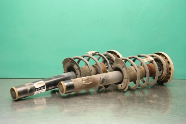 STRUT SET F25 (315) (316) *31-10* Front