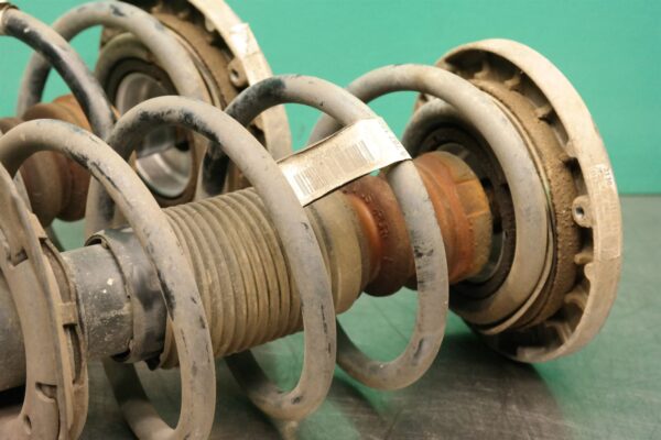 STRUT SET F25 (315) (316) *31-10* Front