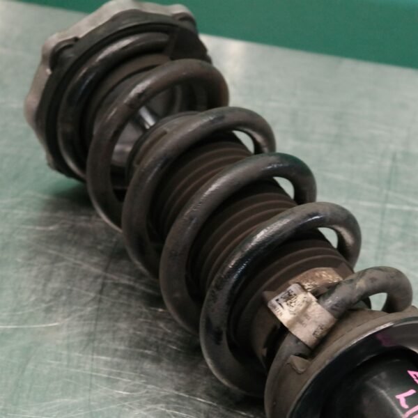 LEFT REAR STRUT G01 (152) *33-45*