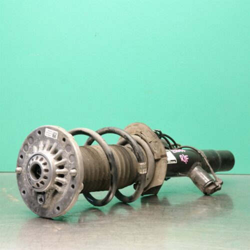 RIGHT FRONT STRUT F22 (254) *31-10*