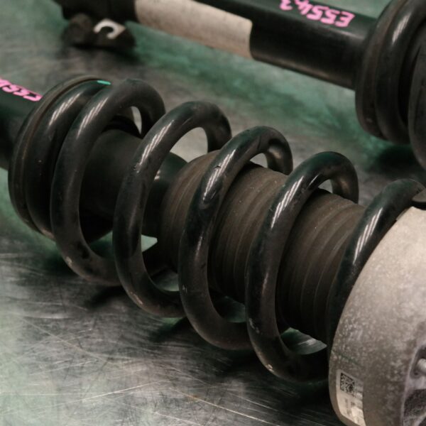 STRUT SET F15 (745) (745) *31-10*