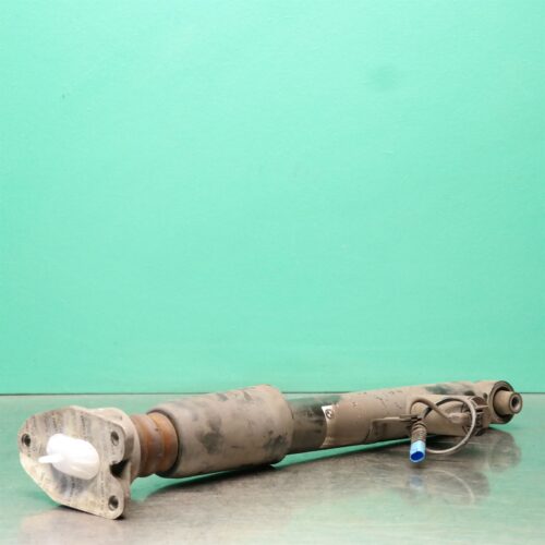 RIGHT REAR STRUT F F22 (541) *33-45* L/R