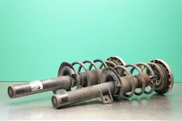 STRUT SET F25 (417) (418) *31-10* Front