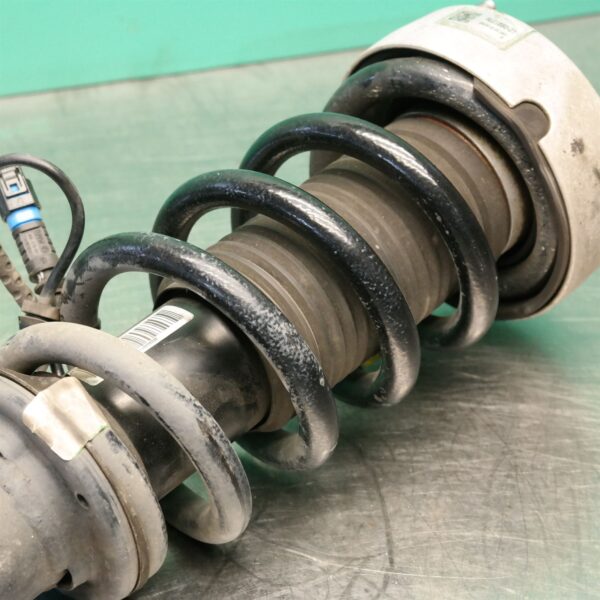 LEFT FRONT STRUT F15 (083) *31-10*