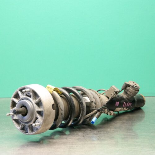 RIGHT FRONT STRUT F15 (084) *31-10*