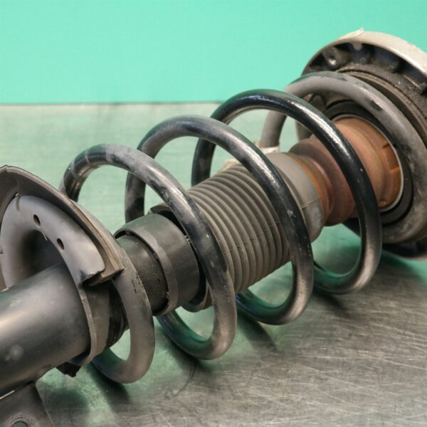 RIGHT FRONT STRUT F25 (418) *31-10*