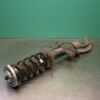 LEFT FRONT STRUT G05 (019) *31-10*