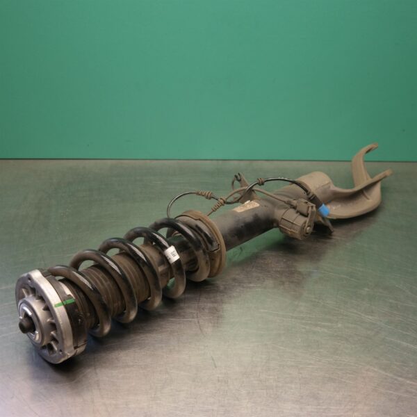 LEFT FRONT STRUT G05 (019) *31-10*