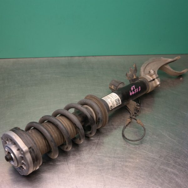 LEFT FRONT STRUT G05 (019) *31-10*