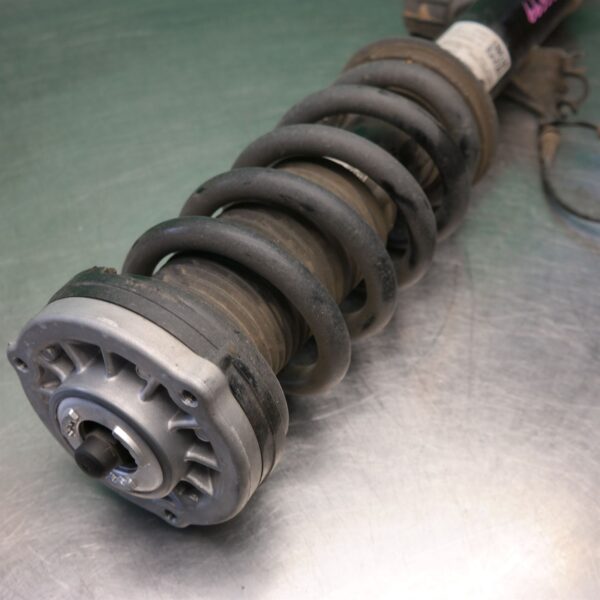 LEFT FRONT STRUT G05 (019) *31-10*