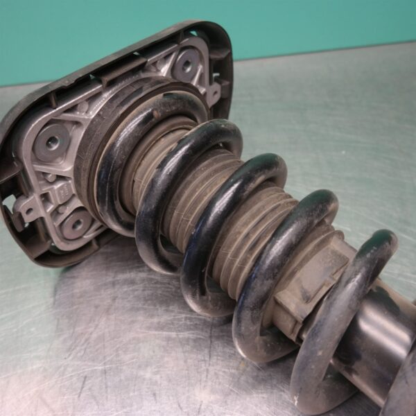 RIGHT REAR STRUT G05 (024) *33-45*