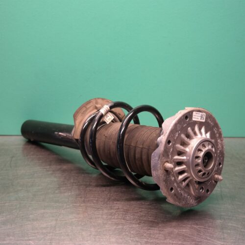 LEFT FRONT STRUT F48 (599) *31-10*