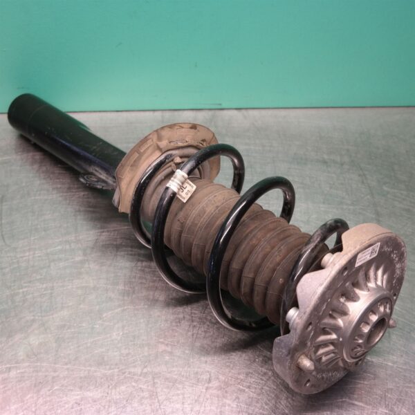 LEFT FRONT STRUT F48 (599) *31-10*