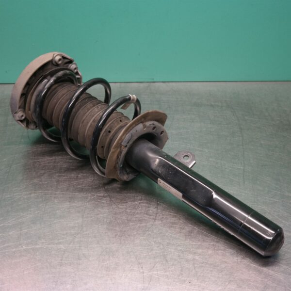 LEFT FRONT STRUT F48 (599) *31-10*