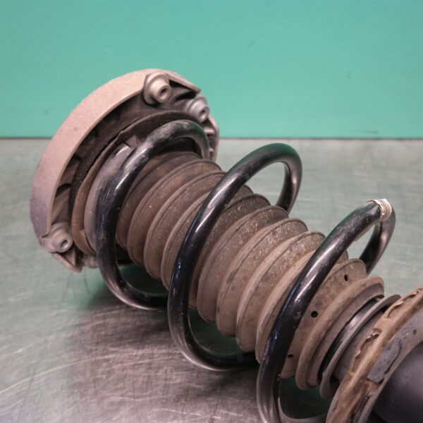 LEFT FRONT STRUT F48 (599) *31-10*