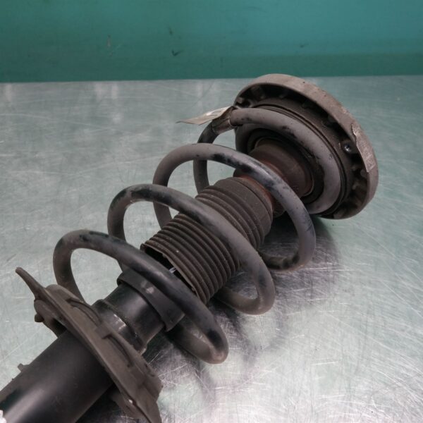 RIGHT FRONT STRUT F25 (316) *31-10*