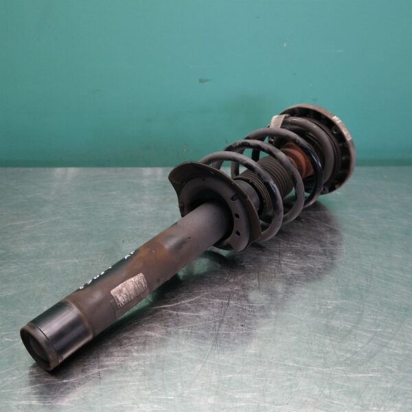 RIGHT FRONT STRUT F25 (418) *31-10*