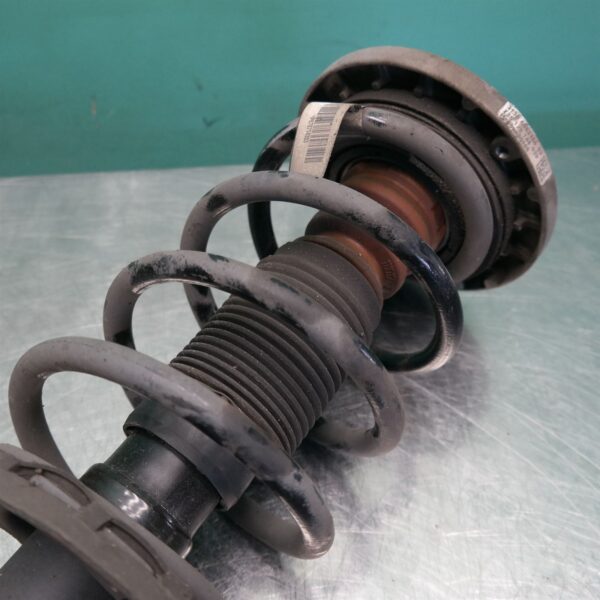 RIGHT FRONT STRUT F25 (418) *31-10*