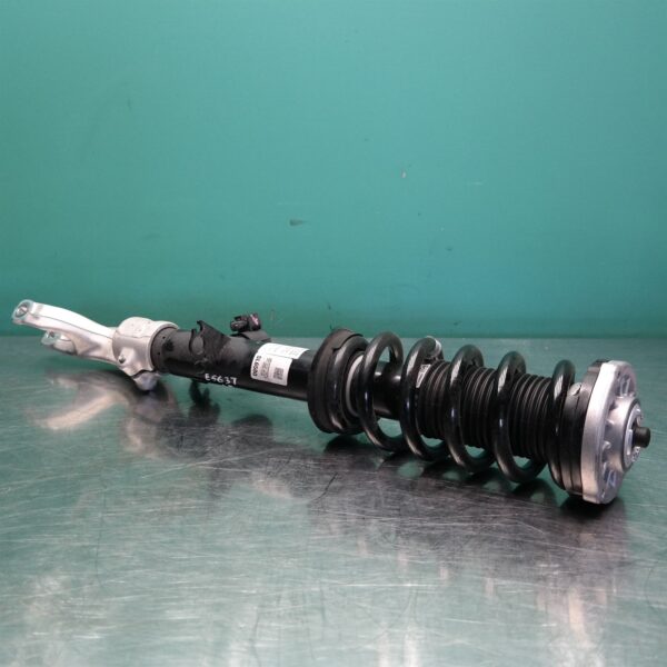 LEFT FRONT STRUT G05 (019) *31-10*
