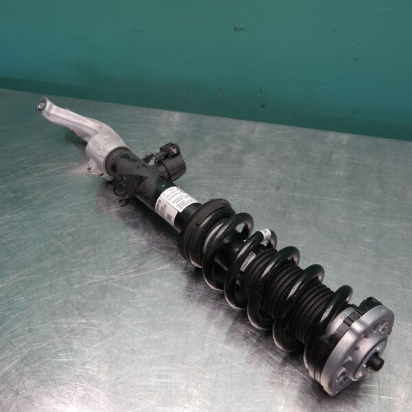 LEFT FRONT STRUT G05 (019) *31-10*