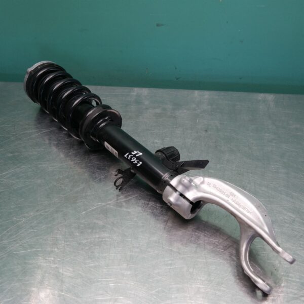 LEFT FRONT STRUT G05 (019) *31-10*