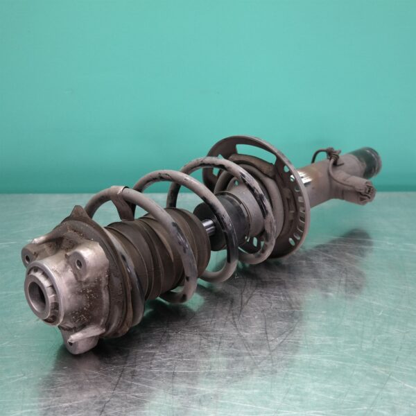 RIGHT FRONT STRUT G01 (158) *31-10*