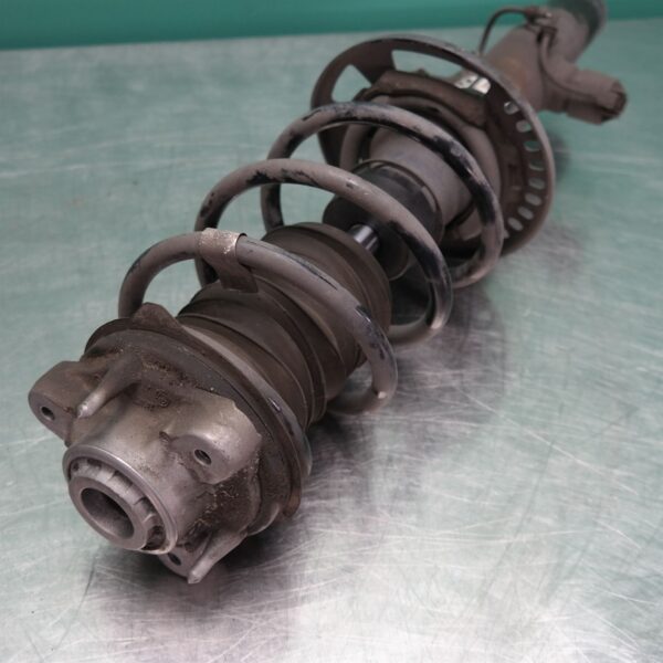 RIGHT FRONT STRUT G01 (158) *31-10*