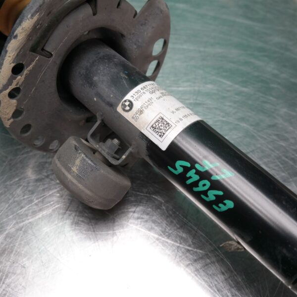 LEFT FRONT STRUT G01 (787) *31-10*