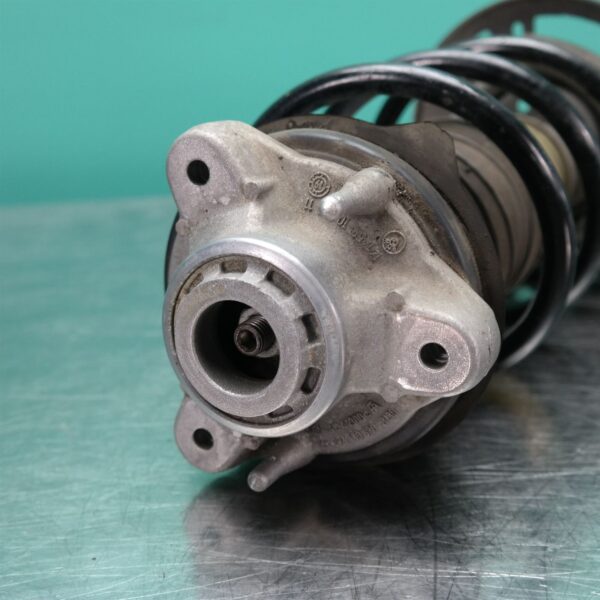 LEFT FRONT STRUT G01 (787) *31-10*