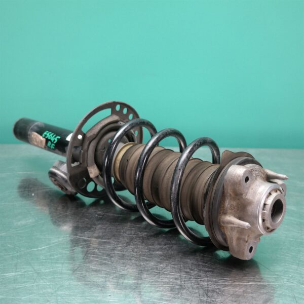 RIGHT FRONT STRUT G01 (788) *31-10*
