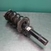 RIGHT FRONT STRUT G01 (788) *31-10*