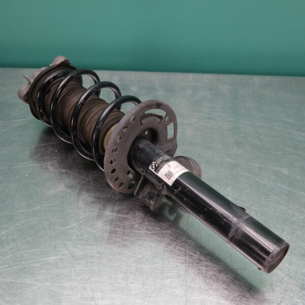RIGHT FRONT STRUT G01 (788) *31-10*