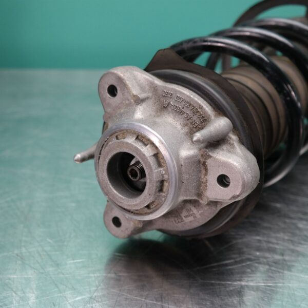 RIGHT FRONT STRUT G01 (788) *31-10*