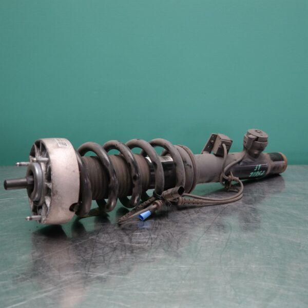 LEFT FRONT STRUT F15 (083) *31-10*