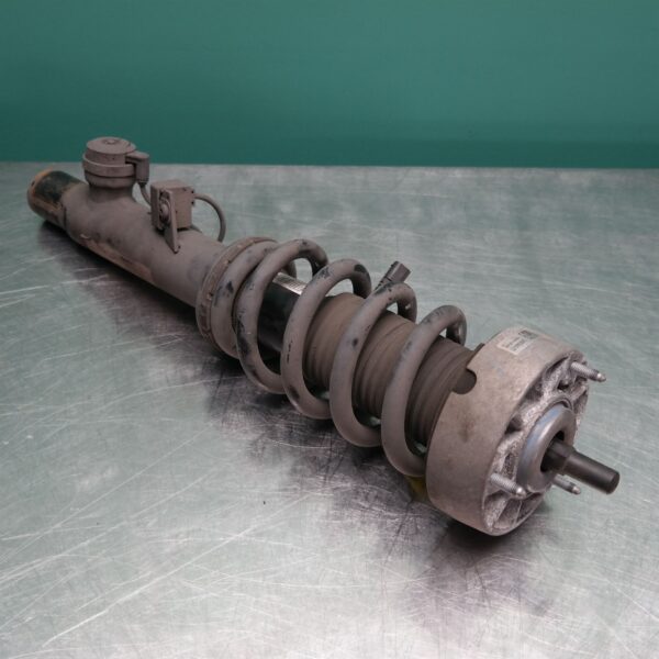 LEFT FRONT STRUT F15 (083) *31-10*