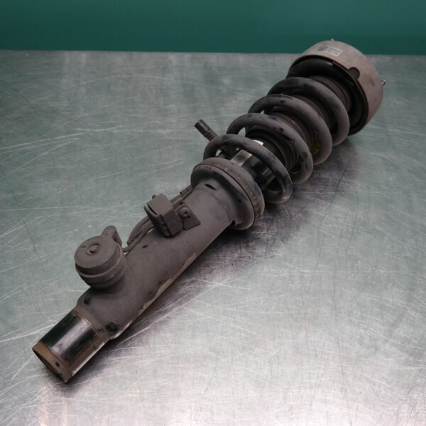 LEFT FRONT STRUT F15 (083) *31-10*