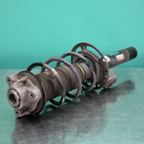LEFT FRONT STRUT G01 (787) *31-10*