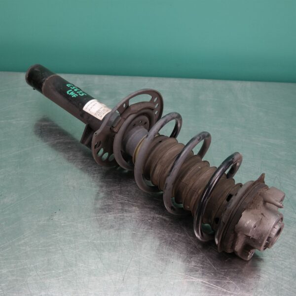 LEFT FRONT STRUT G01 (787) *31-10*